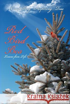 Red Bird Bea Vee Allen Delores Davis 9781496092403 Createspace - książka