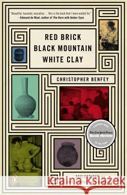 Red Brick, Black Mountain, White Clay: Reflections on Art, Family, and Survival Christopher Benfey 9780143122852 Penguin Putnam Inc - książka