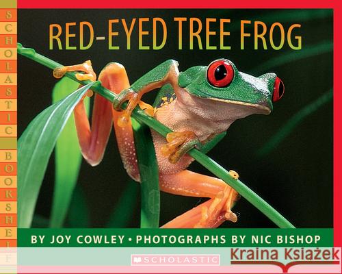 Red-Eyed Tree Frog Joy Cowley Nic Bishop Nic Bishop 9780439782210 Scholastic Paperbacks - książka