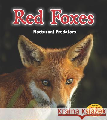 Red Foxes: Nocturnal Predators Rebecca Rissman 9781484603185 Heinemann Educational Books - książka