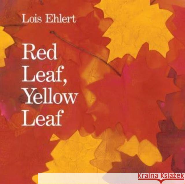 Red Leaf, Yellow Leaf Lois Ehlert 9780063286702 HarperCollins Publishers Inc - książka