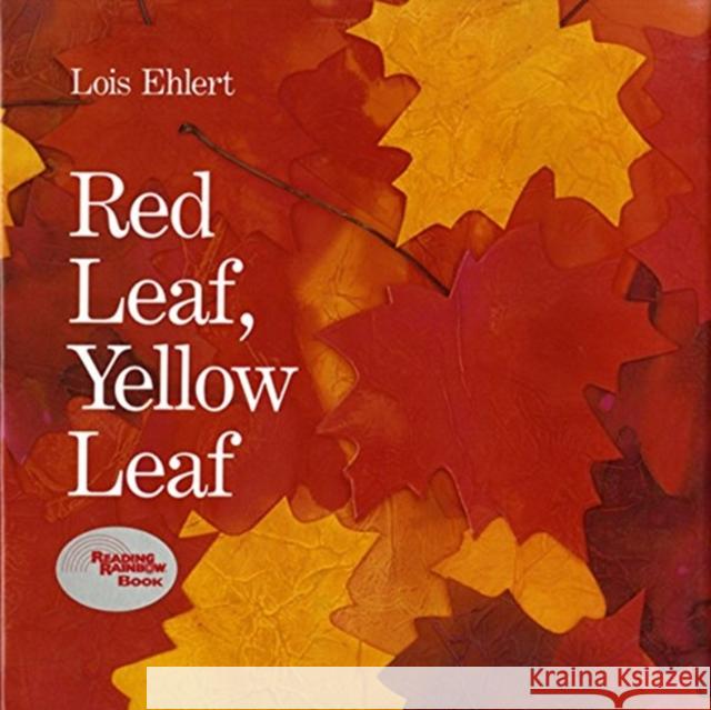 Red Leaf, Yellow Leaf Lois Ehlert 9780152661977 Elsevier Australia - książka