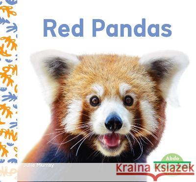 Red Pandas Julie Murray 9781098264161 Abdo Kids Junior - książka