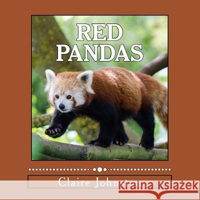 Red Pandas: Shy Forest Dwellers Claire Johnston 9781495942211 Createspace - książka