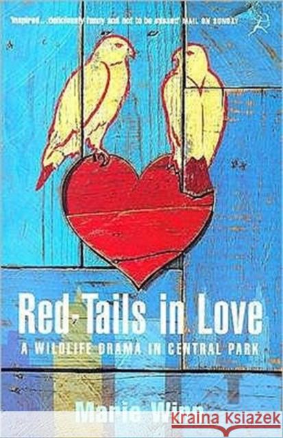 Red-tails in Love: A Wildlife Drama in Central Park Marie Winn 9780747542032 Bloomsbury Publishing PLC - książka