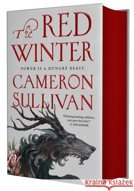 Red Winter Cameron Sullivan 9781250362766 Tor Books - książka