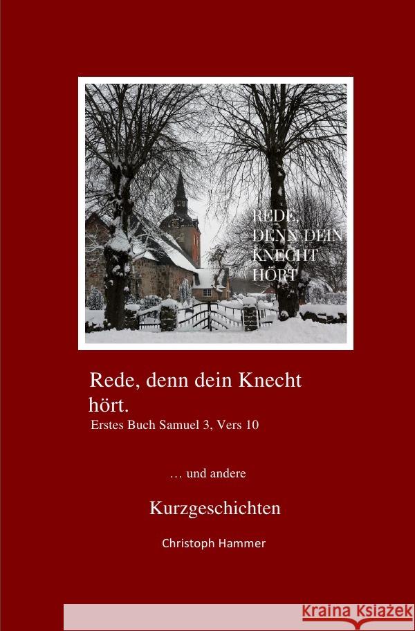 Rede, denn dein Knecht hört : ... und andere Kurzgeschichten Hammer, Christoph 9783750295353 epubli - książka