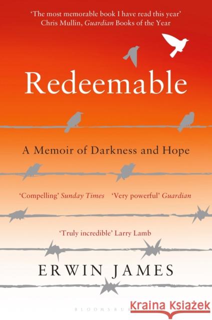 Redeemable: A Memoir of Darkness and Hope Erwin James 9781408849323 Bloomsbury Publishing PLC - książka