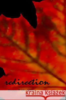 Redirection: The Prime Sonnets and Other Poems Brian T. W. Way 9781927725207 Hidden Brook Press - książka