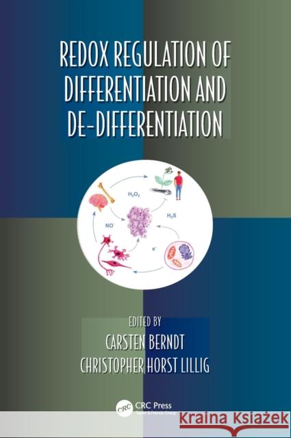Redox Regulation of Differentiation and De-Differentiation Carsten Berndt Christopher Horst Lillig 9780367895662 CRC Press - książka