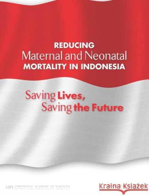 Reducing Maternal and Neonatal Mortality in Indonesia: Saving Lives, Saving the Future Indonesian Academy of Sciences 9780309290760 National Academies Press - książka