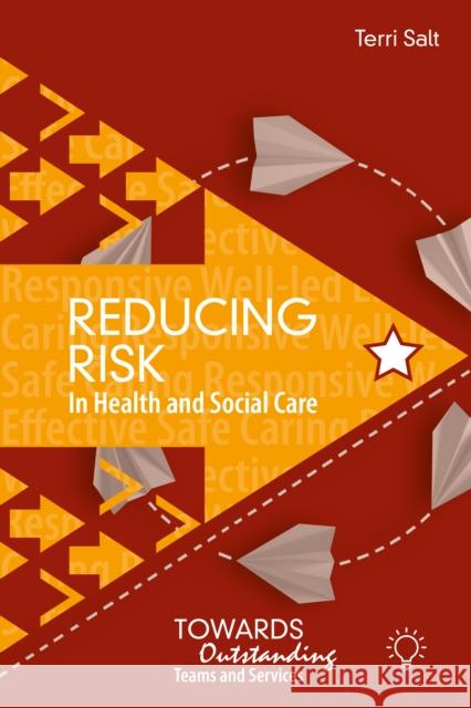 Reducing Risk in Health and Social Care: Towards Outstanding Teams and Services Terri Salt 9781803883076 Pavilion Publishing and Media Ltd - książka