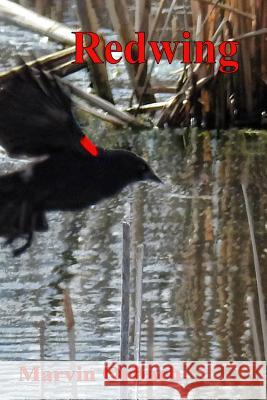 Redwing: Poems by Marvin Orbach Marvin Orbach 9781927725528 Hidden Brook Press - książka