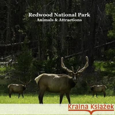 Redwood National Park Animals and Attractions Kids Book: Great Way for Children to See Redwood National and State Parks Kinsey Marie Billy Grinslott 9781960612878 Redwood National Park Animals and Attractions - książka
