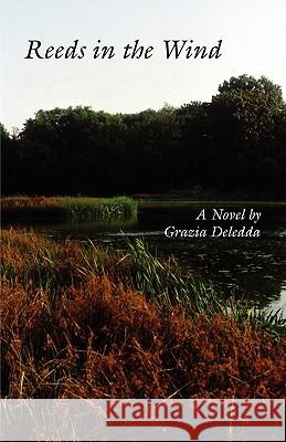 Reeds in the wind Grazia Deledda, Dolores Turchi, Martha King 9780934977630 Italica Press - książka