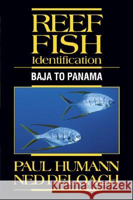 Reef Fish Identification: Baja to Panama Paul Humann, Ned Deloach 9781878348388 New World Publications Inc.,U.S. - książka