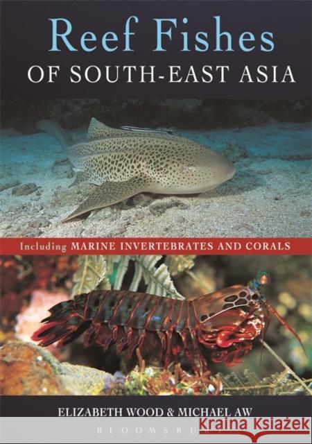 Reef Fishes of South-East Asia Michael Aw 9781472978363 Bloomsbury Publishing PLC - książka