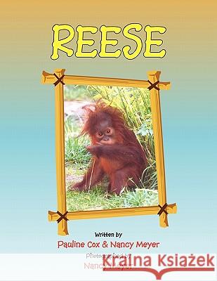 Reese Pauline Cox & Nancy Meyer 9781450041003 Xlibris - książka