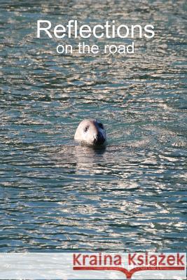 Reflections Ian Beckett 9781409271048 Lulu.com - książka