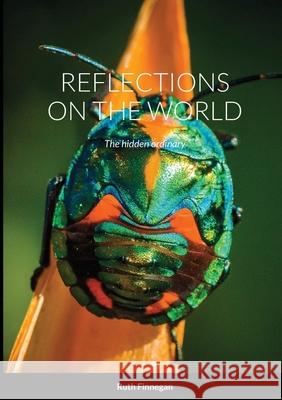 Reflections on the World: The hidden ordinary Ruth Finnegan 9781471606915 Lulu.com - książka