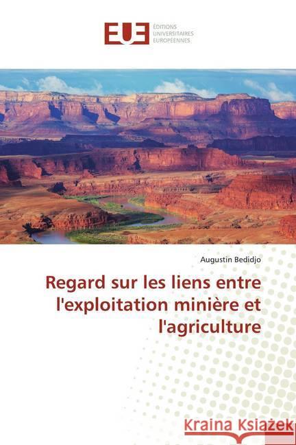 Regard sur les liens entre l'exploitation minière et l'agriculture Bedidjo, Augustin 9786139518562 Éditions universitaires européennes - książka