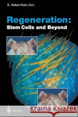 Regeneration: Stem Cells and Beyond Ellen Heber-Katz 9783642623219 Springer - książka