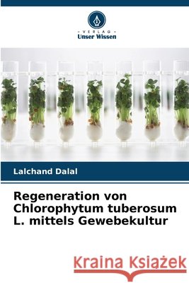 Regeneration von Chlorophytum tuberosum L. mittels Gewebekultur Dalal, Lalchand 9786209847592 Verlag Unser Wissen - książka