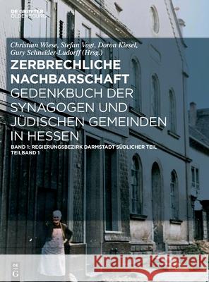 Regierungsbezirk Darmstadt: S?dlicher Teil Christian Wiese Stefan Vogt Doron Kiesel 9783111433929 de Gruyter Oldenbourg - książka