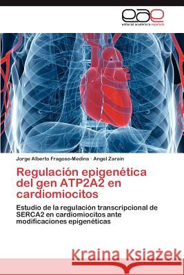 Regulacion Epigenetica del Gen Atp2a2 En Cardiomiocitos  9783845491257 Editorial Acad Mica Espa Ola - książka