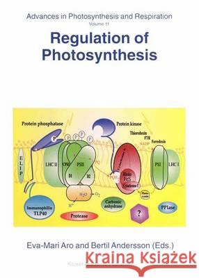 Regulation of Photosynthesis Eva-Mari Aro Bertil Andersson Eva-Mari Aro 9780792363323 Kluwer Academic Publishers - książka