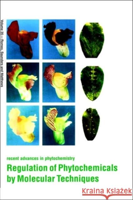 Regulation of Phytochemicals by Molecular Techniques: Volume 35 Saunders, J. a. 9780080439778 Pergamon - książka