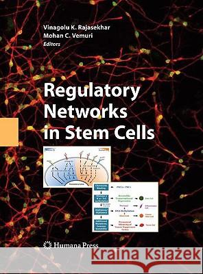 Regulatory Networks in Stem Cells Vinagolu K. Rajasekhar Mohan C. Vemuri 9781603272261 Humana Press - książka