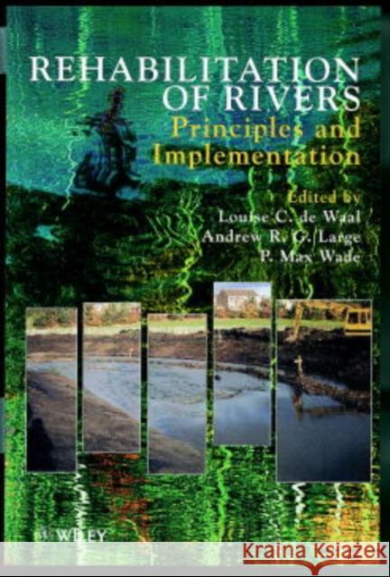 Rehabilitation of Rivers: Principles and Implementation de Waal, Louise 9780471957539 John Wiley & Sons - książka