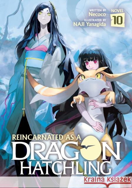 Reincarnated as a Dragon Hatchling (Light Novel) Vol. 10 Necoco 9798891609556 Seven Seas Entertainment, LLC - książka