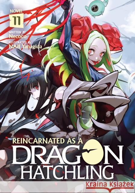 Reincarnated as a Dragon Hatchling (Light Novel) Vol. 11 Necoco 9798893734669 Seven Seas Entertainment, LLC - książka