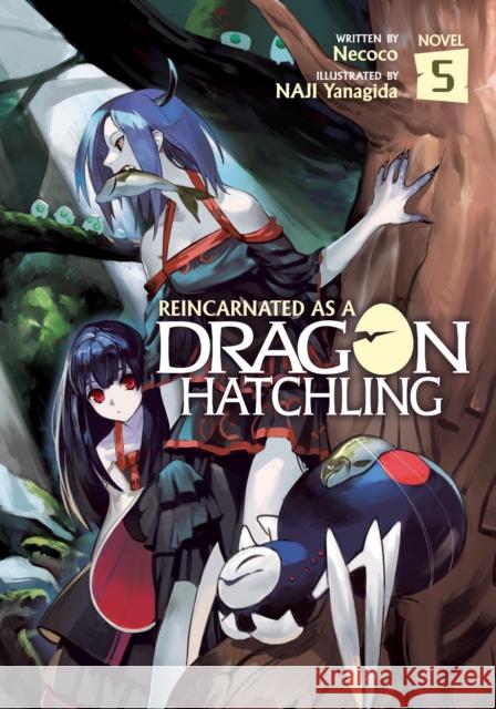 Reincarnated as a Dragon Hatchling (Light Novel) Vol. 5 Nekoko                                   Naji Yanagida 9781638582205 Airship - książka