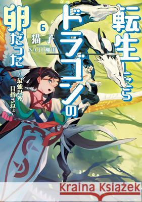 Reincarnated as a Dragon Hatchling (Light Novel) Vol. 6 Nekoko                                   Naji Yanagida 9781638583387 Airship - książka