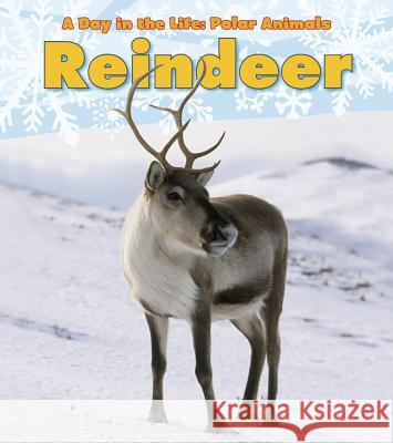 Reindeer Katie Marsico 9781432953379 Heinemann Educational Books - książka