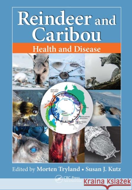 Reindeer and Caribou: Health and Disease Morten Tryland Susan Kutz 9781032094335 CRC Press - książka