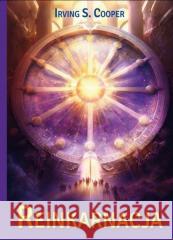 Reinkarnacja Irving S. Cooper 9788366388895 Centrum - książka