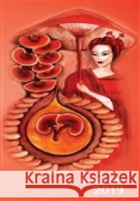 Reishi diář 2019 Květoslava Kolouchová 9788090633926 Flower of Life  - książka