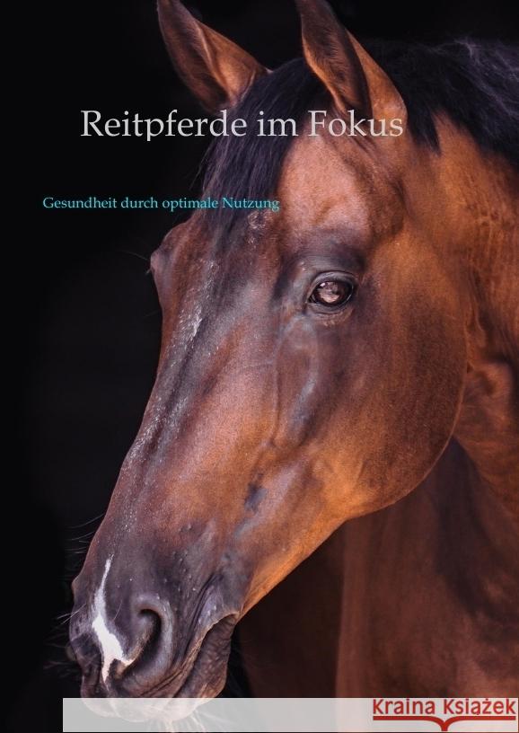 Reitpferde im Fokus Rudolph, Oliver 9783384541130 tredition - książka