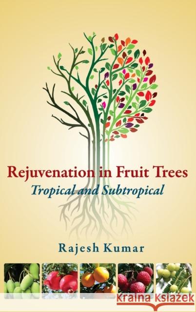 Rejuvenation in Fruit Trees: Tropical and Subtropical: Tropical and Subtropical Rajesh Kumar 9789385516436 New India Publishing Agency- Nipa - książka