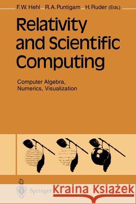 Relativity and Scientific Computing: Computer Algebra, Numerics, Visualization Hehl, Friedrich W. 9783642957345 Springer - książka