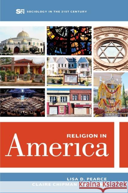 Religion in America: Volume 6 Pearce, Lisa D. 9780520296428 University of California Press - książka