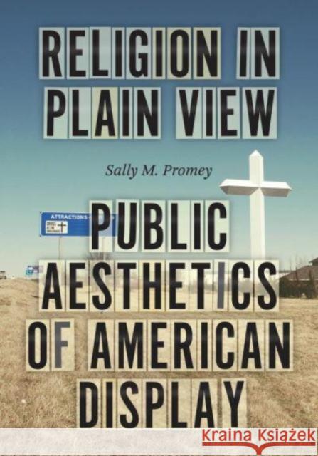 Religion in Plain View: Public Aesthetics of American Display Sally M. Promey 9780226832333 The University of Chicago Press - książka