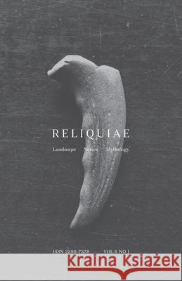 Reliquiae: Vol 8 No 1 Autumn Richardson Richard Skelton 9781916095120 Corbel Stone Press - książka