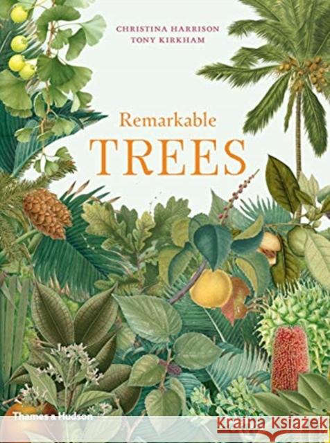 Remarkable Trees Christina Harrison Tony Kirkham  9780500021927 Thames & Hudson Ltd - książka