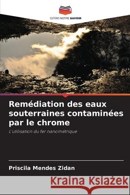 Rem?diation des eaux souterraines contamin?es par le chrome Priscila Mende 9786209034671 Editions Notre Savoir - książka