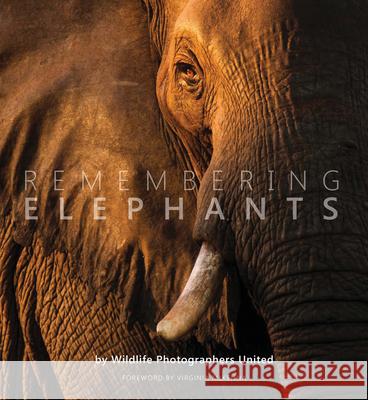Remembering Elephants Raggett, Margot 9781999643348 Remembering Wildlife - książka